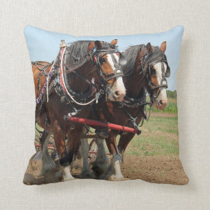 Coussin Horse Clydesdale Agriculture Photo