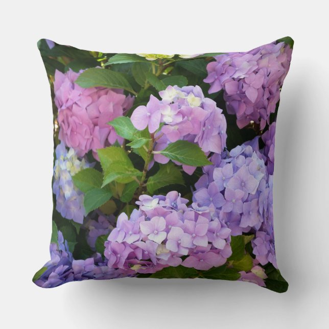 Coussin hortensia coloré (Recto)