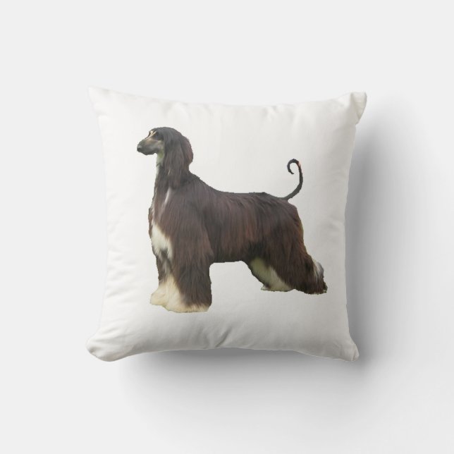 Coussin hound afghan plein.png (Recto)