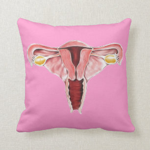 Coussin humain d'appareil génital féminin