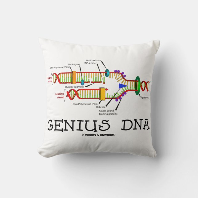 Coussin Humour génétique de biologie moléculaire de l'ADN (Recto)