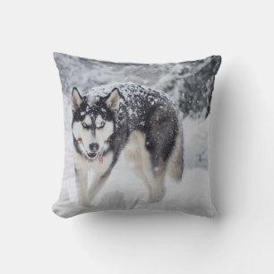 Coussin Husky dans la neige