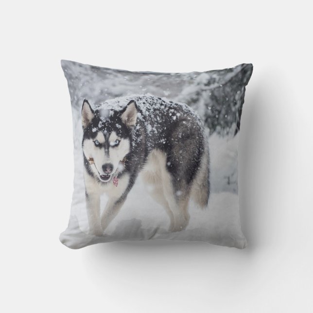 Coussin Husky dans la neige (Recto)