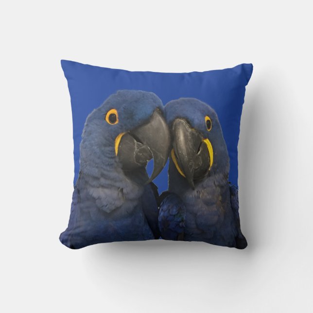 Coussin Hyacinth Macaw Parrot Bird Rare Blue (Recto)