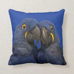 Coussin Hyacinth Macaw Parrot Bird Rare Blue