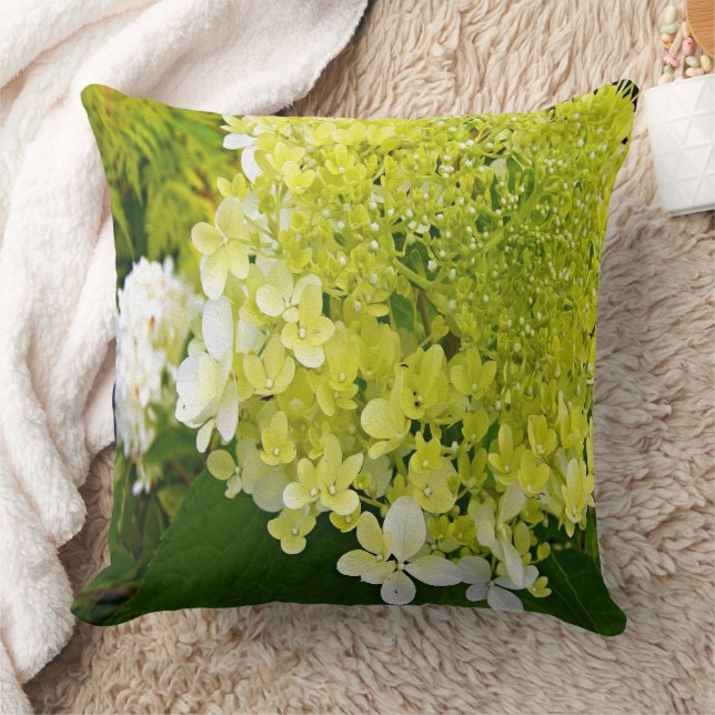Coussin Hydrangea Limelight vert chartreuse élégant (Couverture)