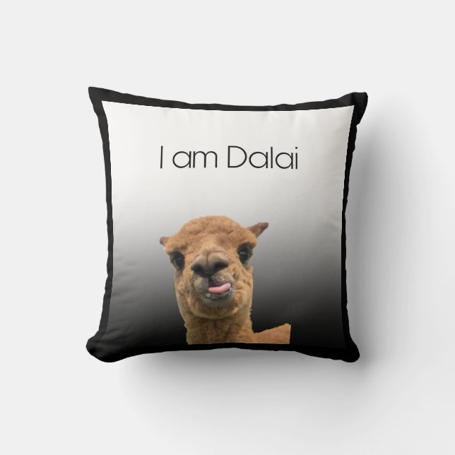 Coussin I am Dalai (Recto)