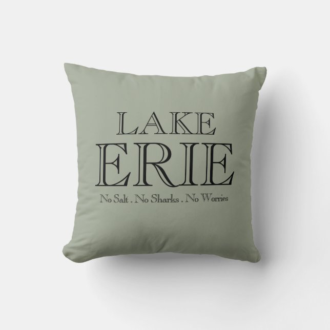 Coussin I heart Lake Erie (Recto)