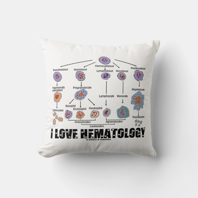 Coussin I Love Hematology (Recto)