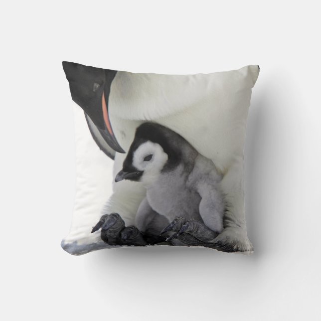 Coussin Île de colline de neige du pingouin d'empereur | (Recto)