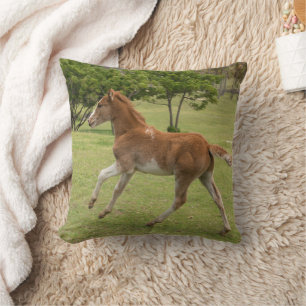 Coussin Île de Pâques alias Rapa Nui