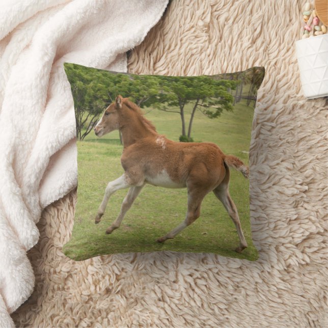 Coussin Île de Pâques alias Rapa Nui (Couverture)