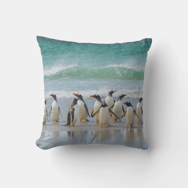 Coussin Îles Falkland. Île Saunders. Gentoo (Recto)