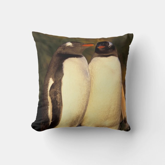 Coussin Îles Falkland. Manchots gentoo.  (Pyroscelis (Recto)