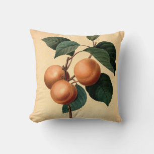 Coussin Illustration botanique des abricots