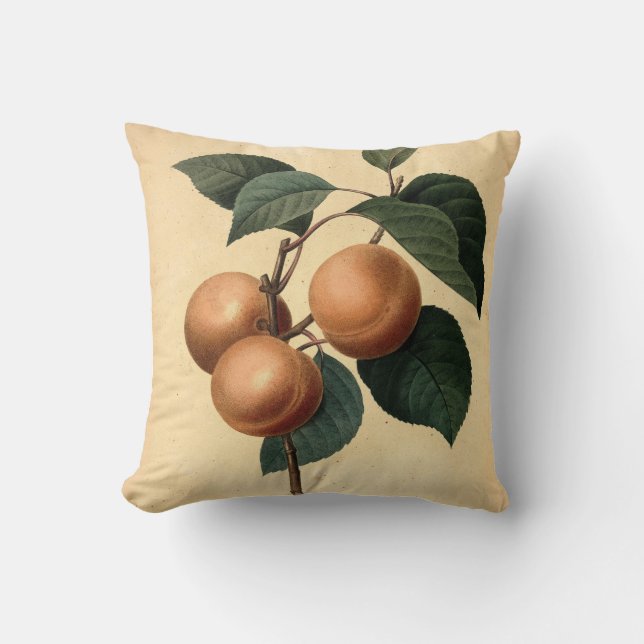 Coussin Illustration botanique des abricots (Recto)