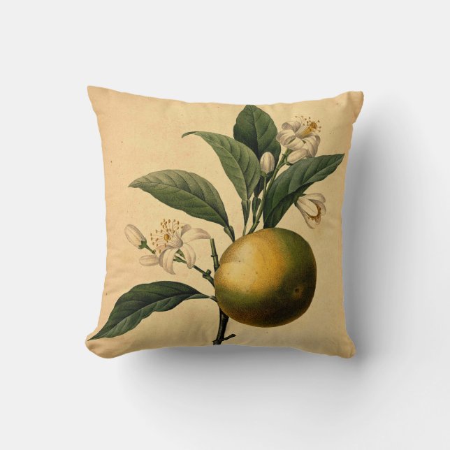 Coussin Illustration botanique orange (Recto)