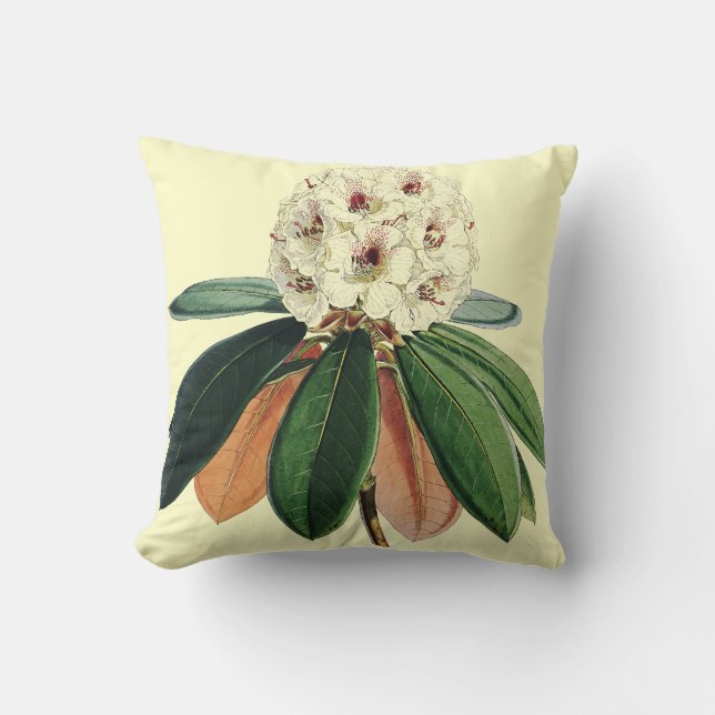 Coussin Illustration botanique vintage de rhododendron (Recto)