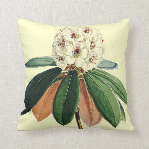 Coussin Illustration botanique vintage de rhododendron