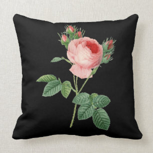 Coussin Illustration botanique vintage de rose de rose sur