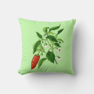 Coussin Illustration botanique vintage, poivron chili