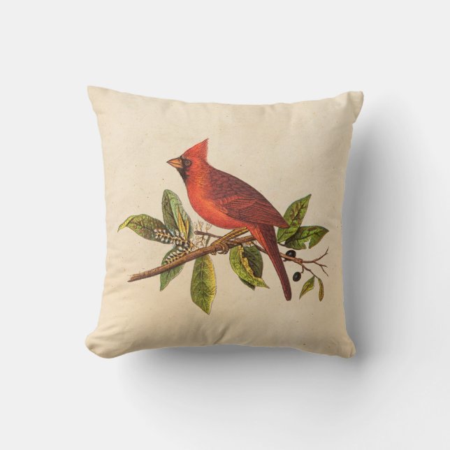 Coussin Illustration cardinale vintage d'oiseau de chanson (Recto)