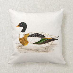 Coussin Illustration de canard de Drake de 1800s vintages