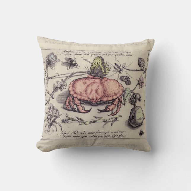 Coussin Illustration de fleur d'insecte botanique de crabe (Recto)