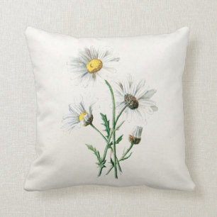 Coussin Illustration de fleur sauvage de marguerites du