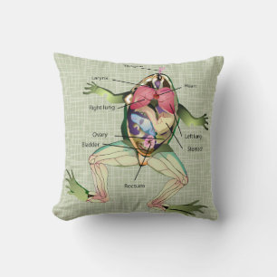 Coussin Illustration de l'anatomie de la grenouille