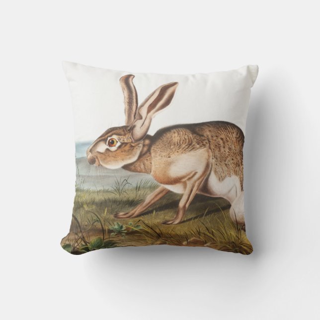 Coussin Illustration de lapin Lièvre texan (Lepus Texianus (Recto)