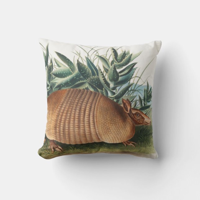 Coussin Illustration de l'Armadillo (Dasypus Peba) à neuf  (Recto)