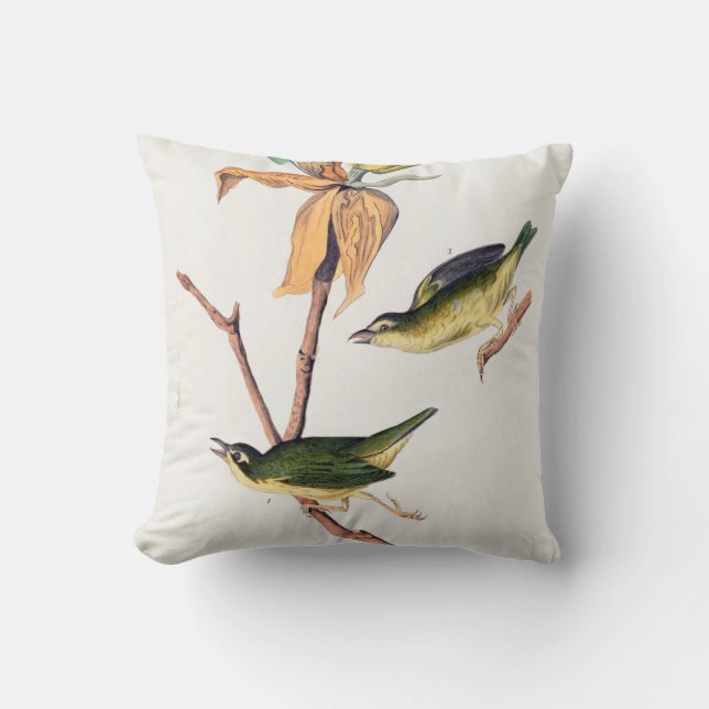 Coussin Illustration des oiseaux de Paruline capturant des (Recto)