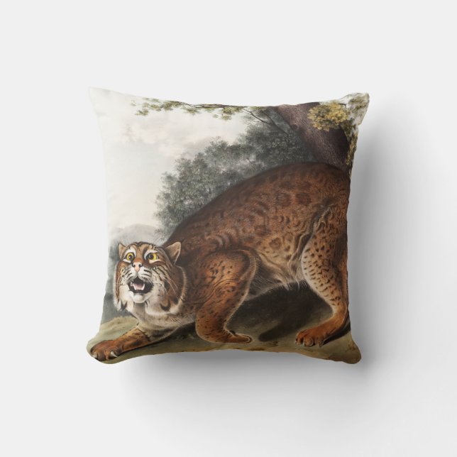 Coussin Illustration du chat sauvage américain (Lynx rufus (Recto)