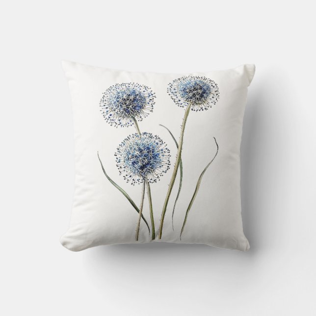 Coussin Illustration Vintage de Chardon Bleu Globe (Recto)