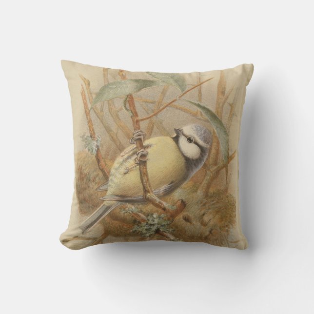 Coussin Illustration vintage de mésange bleue (Recto)