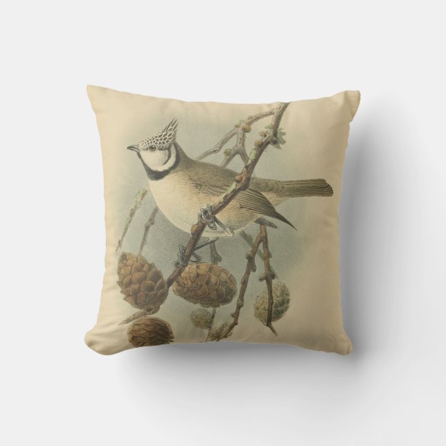Coussin Illustration vintage de mésange huppée européenne (Recto)