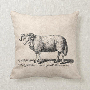 Coussin Illustration vintage de moutons domestiques - RAM