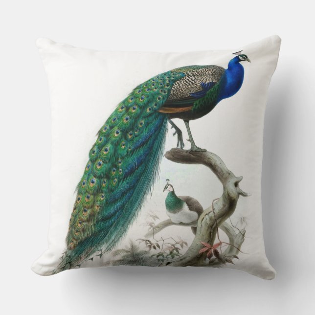 Coussin Illustration vintage de paon (Recto)