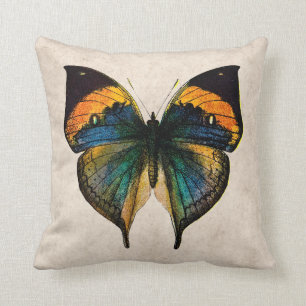 Coussin Illustration vintage de papillon - papillons