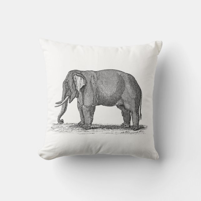 Coussin Illustration vintage d'éléphant de 1800s - (Recto)