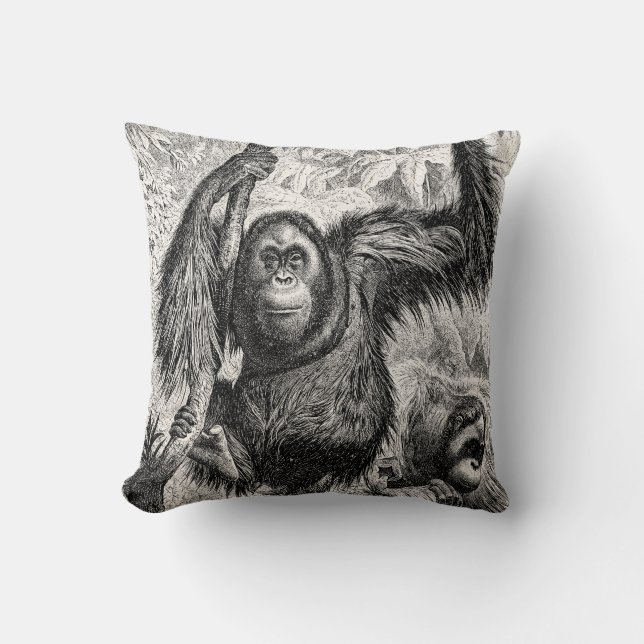 Coussin Illustration vintage d'orang-outan - singe 1800's (Recto)