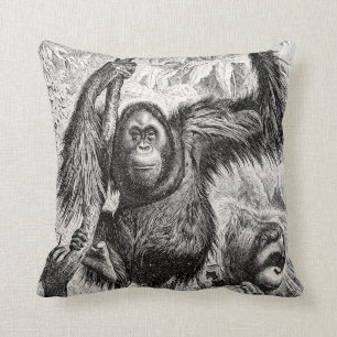 Coussin Illustration vintage d'orang-outan - singe 1800's