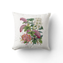 Illustrations des plantes vintages