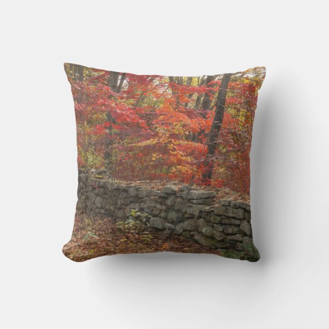 Coussin Image de feuille d'automne - l'automne laisse le (Recto)