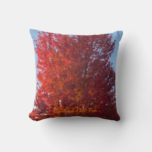 Coussin Image de l'arbre automne
