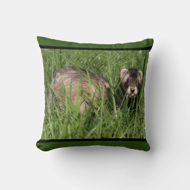 Coussin Image de Weasel Sable d'un furet (Recto)