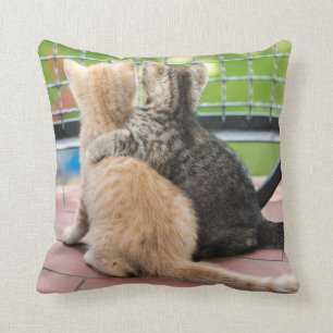 Coussin Images de Getty   deux chatons sur un balcon