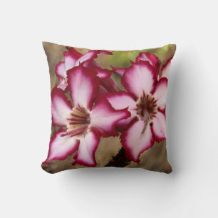 Coussin Impala Lily (Adenium Multiflorum), Kruger