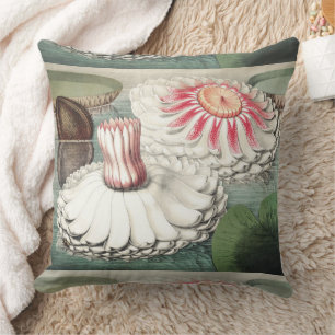 Coussin Impression d'art de nénuphar Victoria Regia vintag
